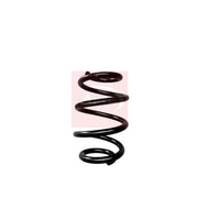Apec Rear Suspension Coil Spring ACS1970