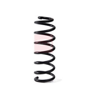 Apec Front Suspension Coil Spring ACS2021