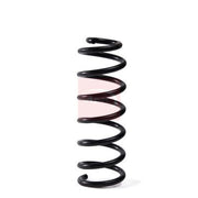 Apec Front Suspension Coil Spring ACS2021