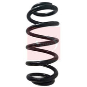 Apec 2 x Suspension Springs ACS1636