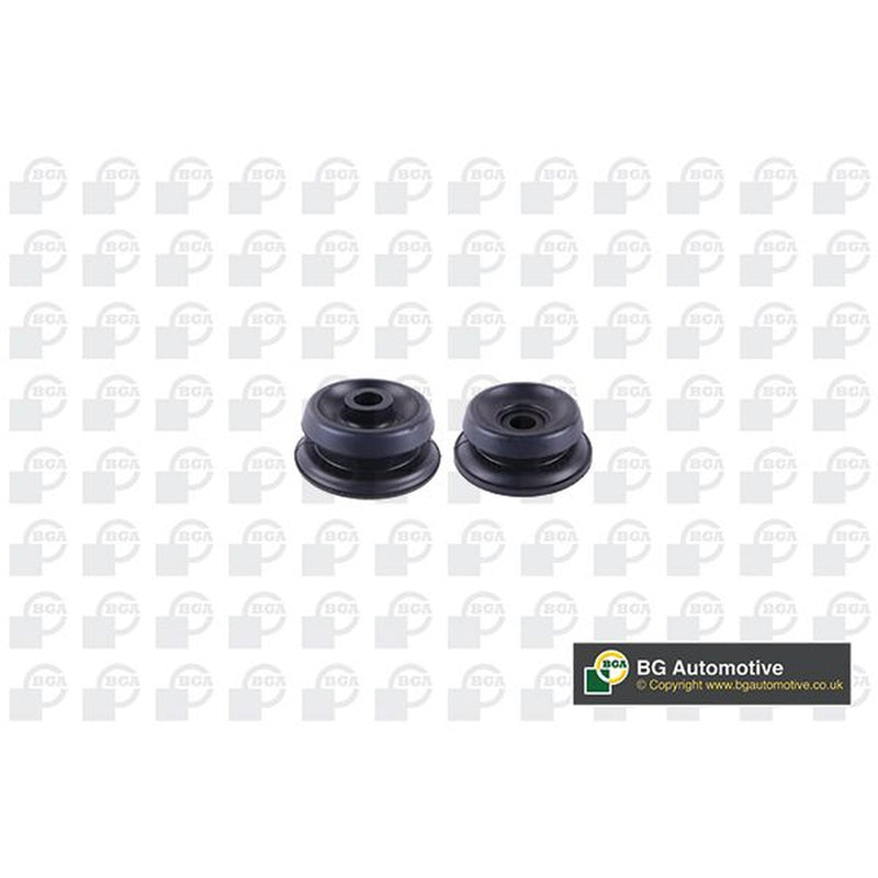 BGA Front Suspension Strut Support Mount SM5617