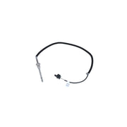 NRF Exhaust Gas Temperature Sensor before soot particulate f 707015