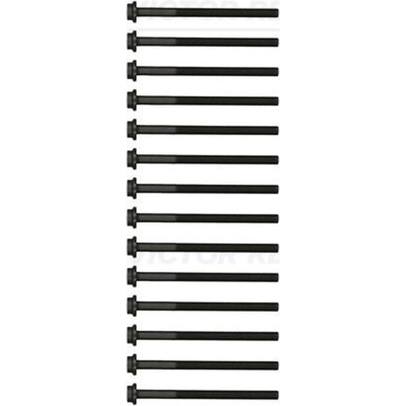 Victor Reinz Cylinder Head Bolt Set M11 14-17603-02