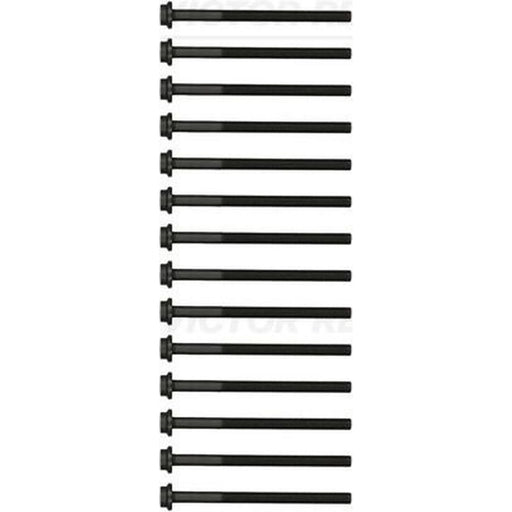 Victor Reinz Cylinder Head Bolt Set M11 14-17603-02