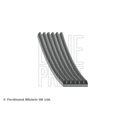 Blue Print Multi V-Ribbed Drive Belt AD06R2870