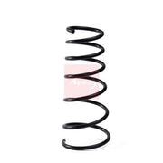 Apec Front Suspension Coil Spring ACS1997