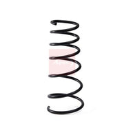 Apec Front Suspension Coil Spring ACS1997