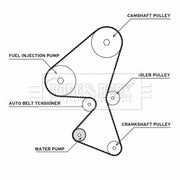 Borg & Beck Timing Belt & Water Pump Kit BTW1032