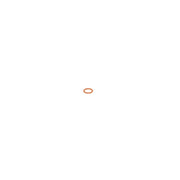 Bosch Sealing Ring Gasket 2 916 710 603