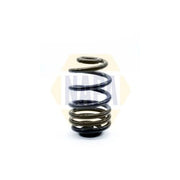 NAPA Rear Suspension Coil Spring NCS1312