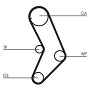 Continental CTAM Timing Belt Kit with Rollers CT999K1