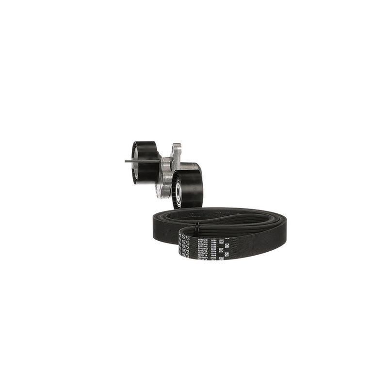 Gates V-Ribbed Belt Set K017PK1973