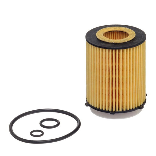 Hengst Engine Oil Filter E818H D238