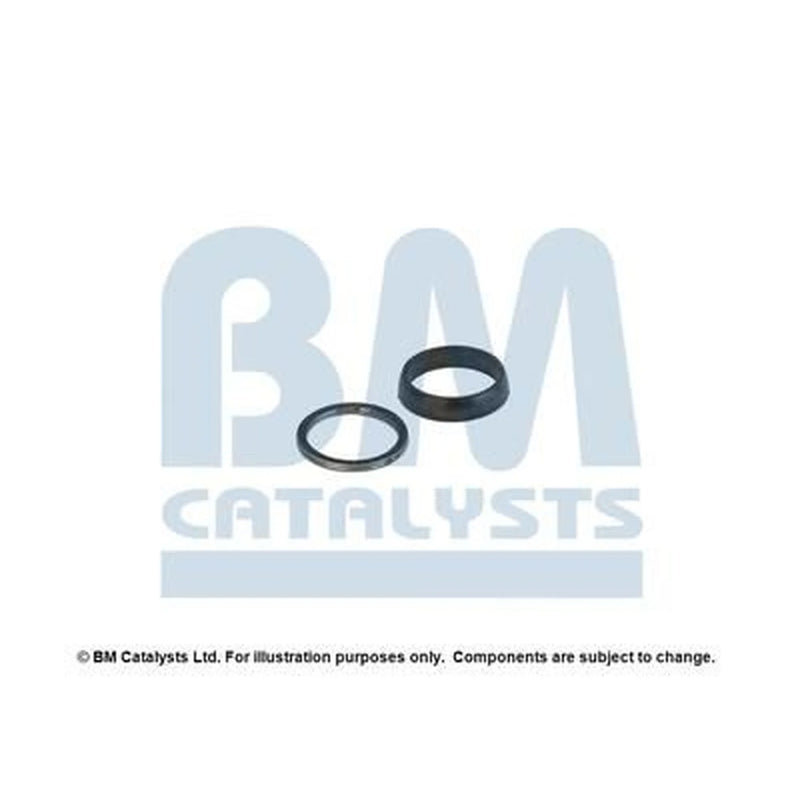 BM Catalysts Fitting Kit FK92208A FK92208A