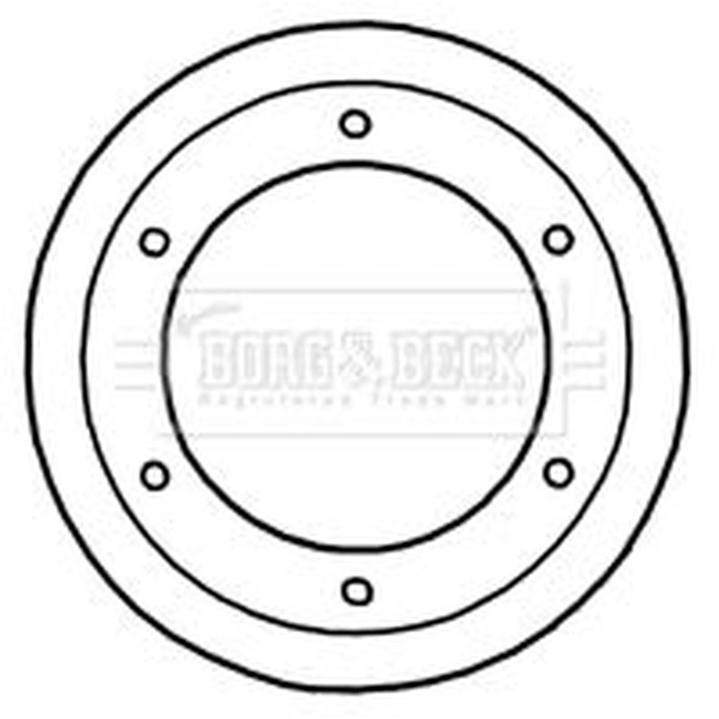 Borg & Beck 2 x Vented Rear Brake Discs BBD5921S