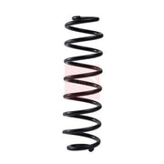 Apec Rear Suspension Coil Spring ACS2181