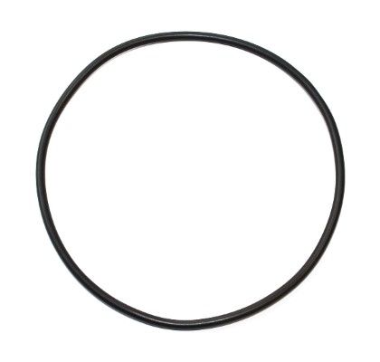 Elring 597.791 Seal Ring