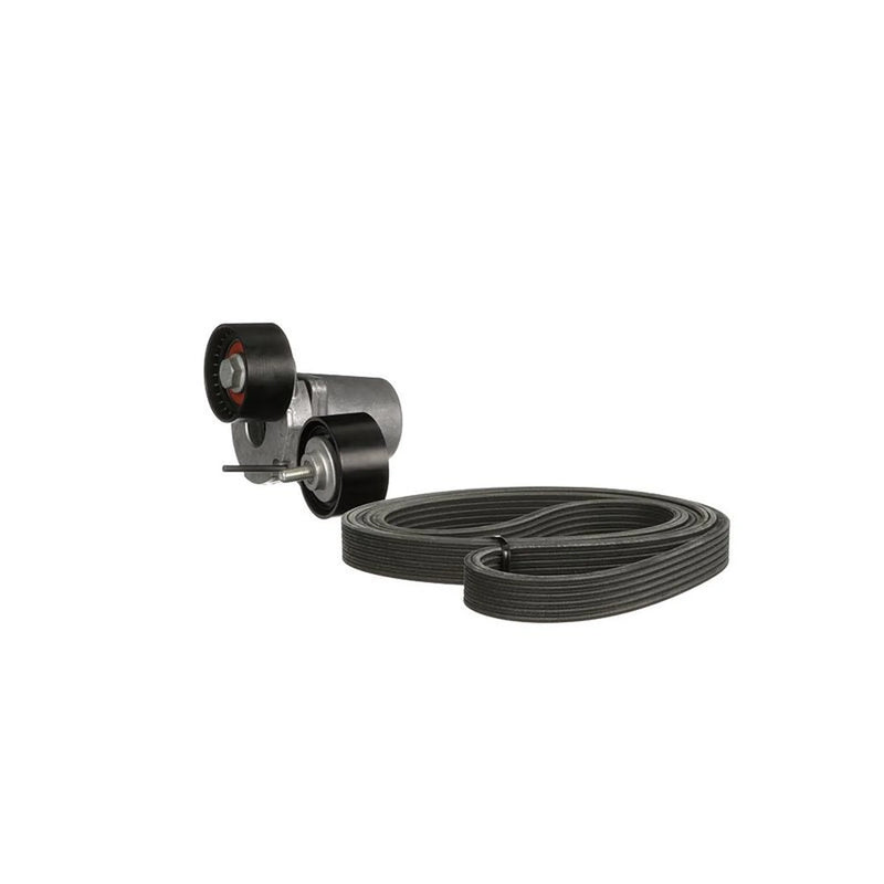Gates V-Ribbed Belt Set K016DPK1817