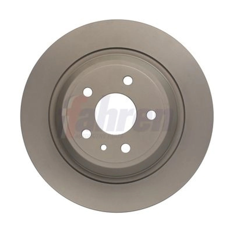 Fahren 2 x Solid Rear Brake Discs FBD6810