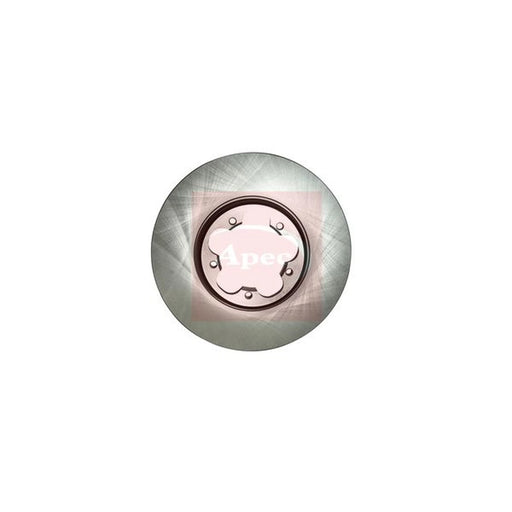 Apec 2 x Vented Front Brake Discs DSK2975