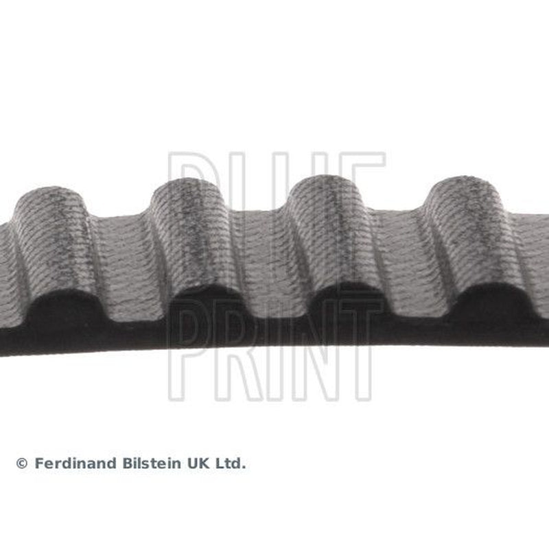 Blue Print Timing Belt Cambelt 76 Teeth ADN17513