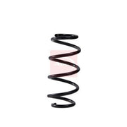 Apec Rear Suspension Coil Spring ACS2328