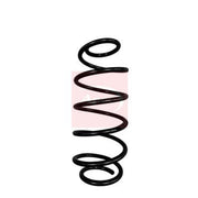 Apec Front Suspension Coil Spring ACS2057