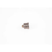 Bosch Engine Control Valve 2 418 552 063