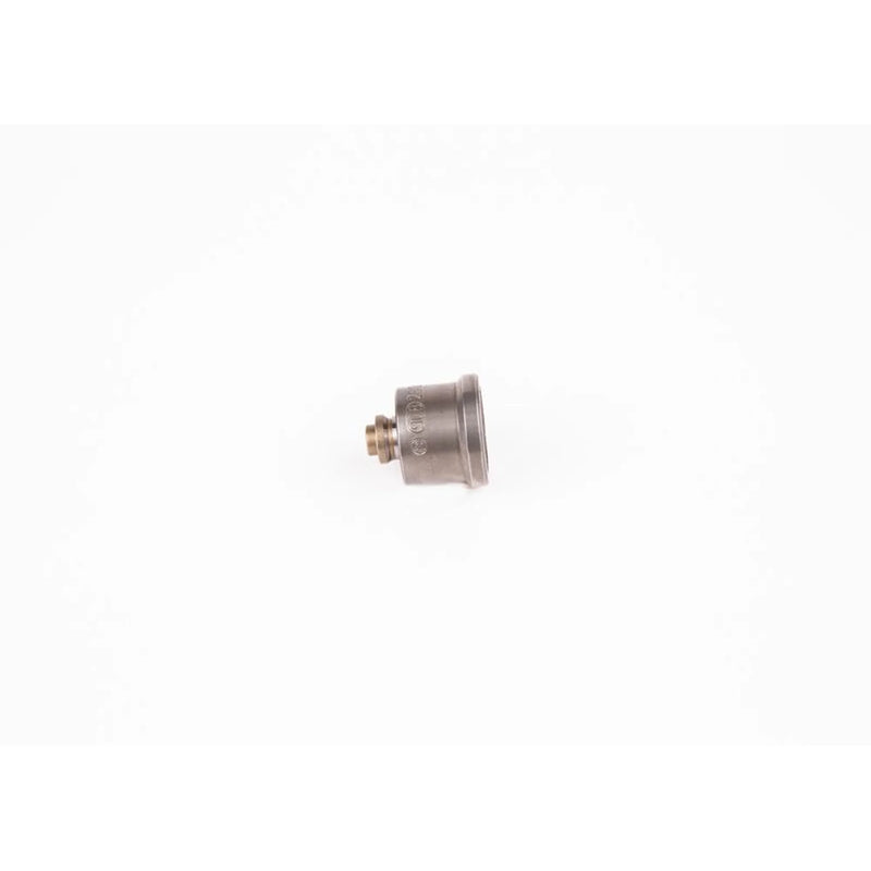 Bosch Engine Control Valve 2 418 552 063