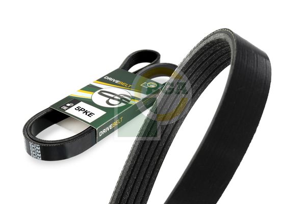 BGA Multi V-Ribbed Drive Belt