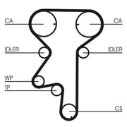 Continental CTAM Timing Belt Kit with Rollers CT975K3