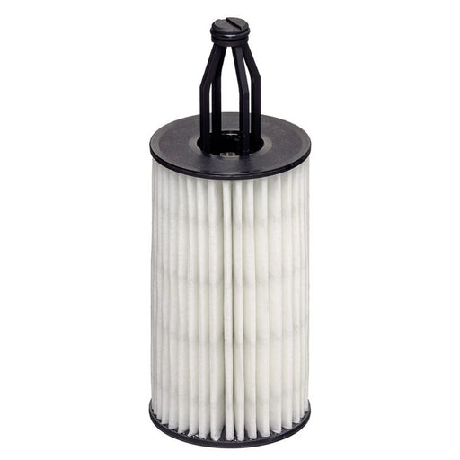 Hengst Engine Oil Filter E129H D222