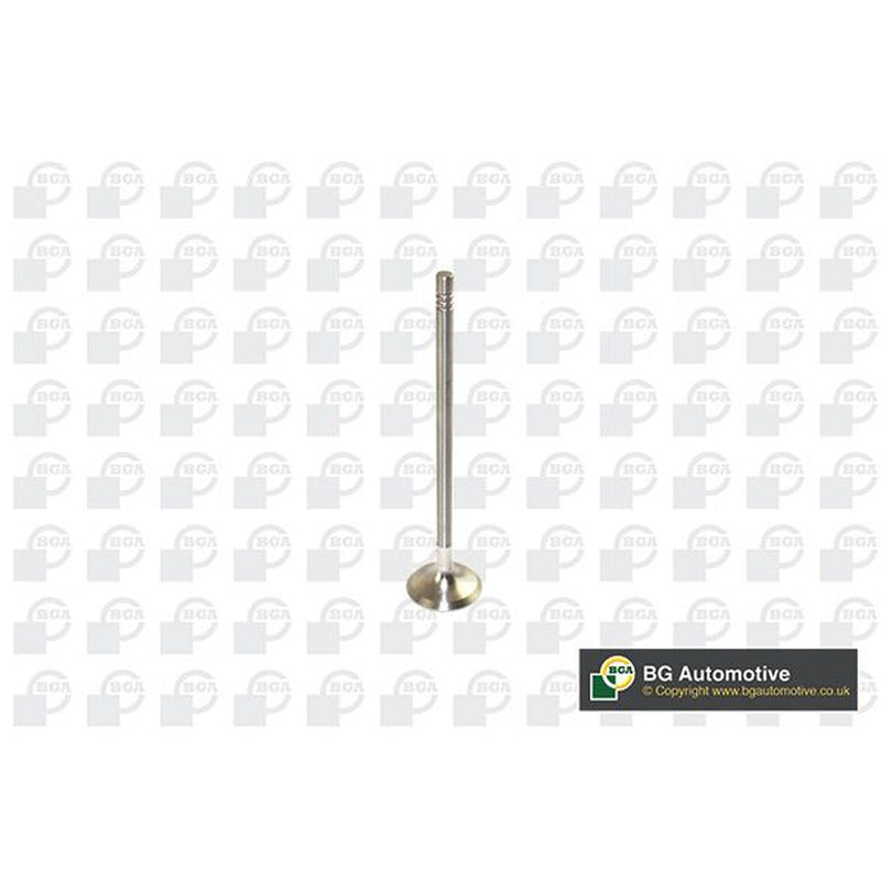 BGA Engine Exhaust Valve 25mm Head V591702
