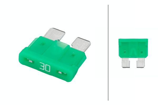 Hella 8JS 711 690-821 Fuse