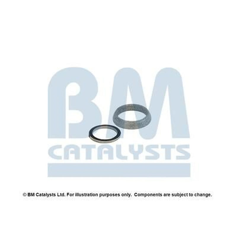BM Catalysts Fitting Kit FK91771A FK91771A