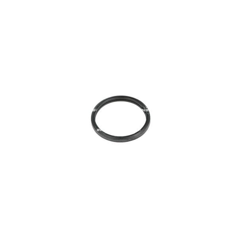 NRF Thermostat,Coolant 725026