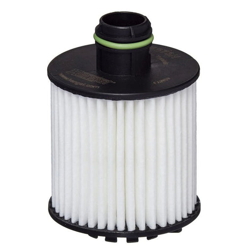 Hengst Engine Oil Filter E873H D377