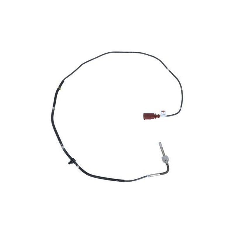 NRF Exhaust Gas Temperature Sensor before soot particulate f 707047