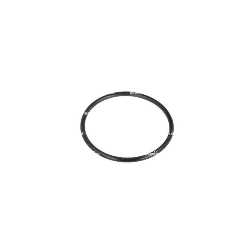 NRF Thermostat,Coolant 725070
