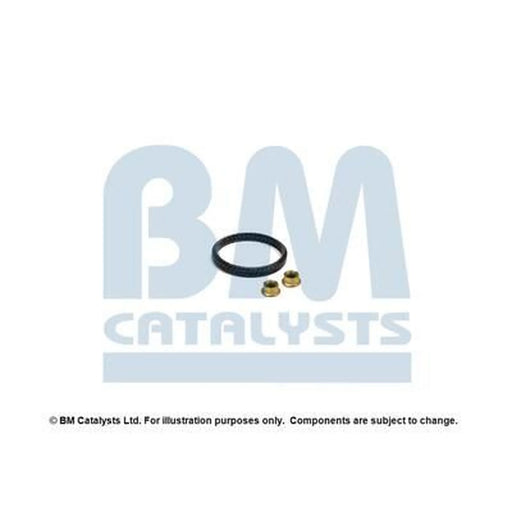 BM Catalysts Fitting Kit FK92291B FK92291B