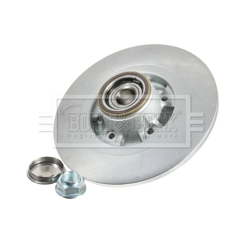 Borg & Beck 2 x Solid Rear Brake Discs BBD5840S