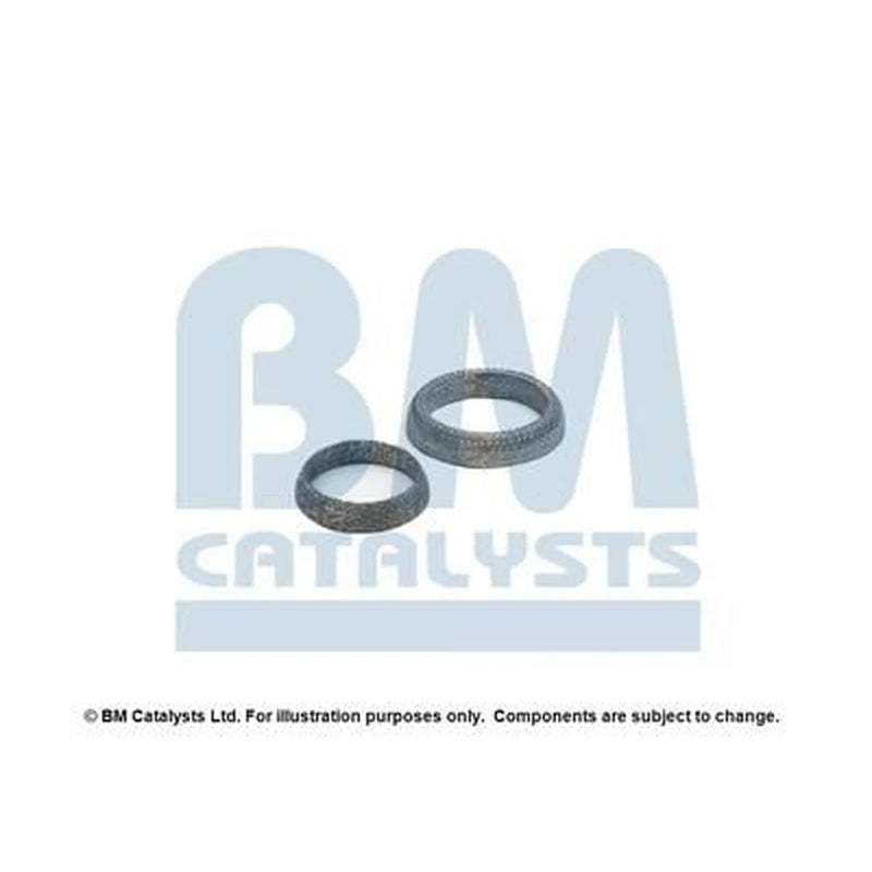 BM Catalysts Fitting Kit FK91297A FK91297A