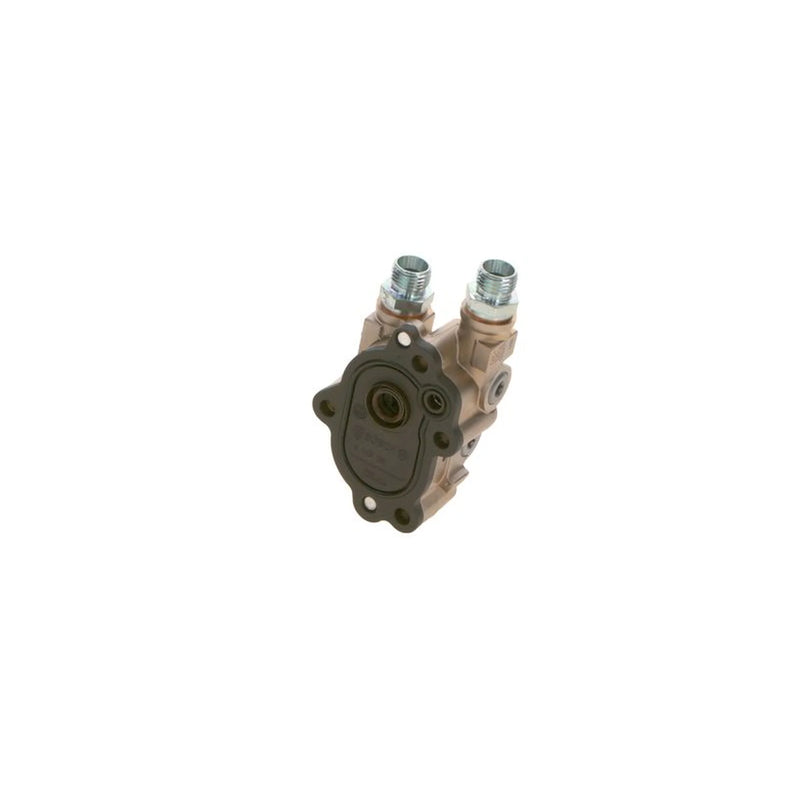 Bosch Fuel Pump Assembly 0 440 020 118