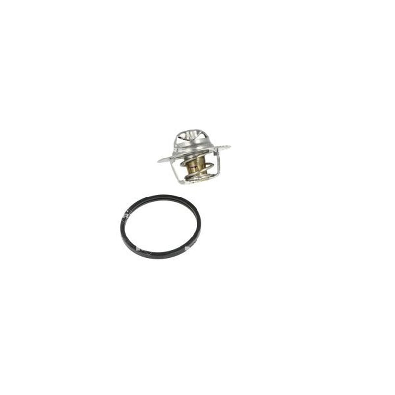 NRF Thermostat,Coolant 725156