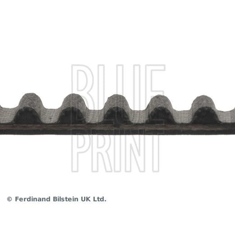 Blue Print Timing Belt Cambelt 110 Teeth ADN17514