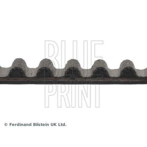 Blue Print Timing Belt Cambelt 110 Teeth ADN17514