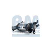 BM Catalysts Dpf BM11245