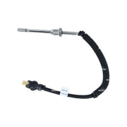NRF Exhaust Gas Temperature Sensor before soot partic 707092