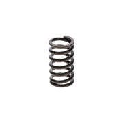 Bosch Compression Spring 9 411 034 621