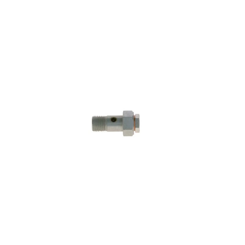 Bosch Fuel Injection Control Valve 2 417 413 088
